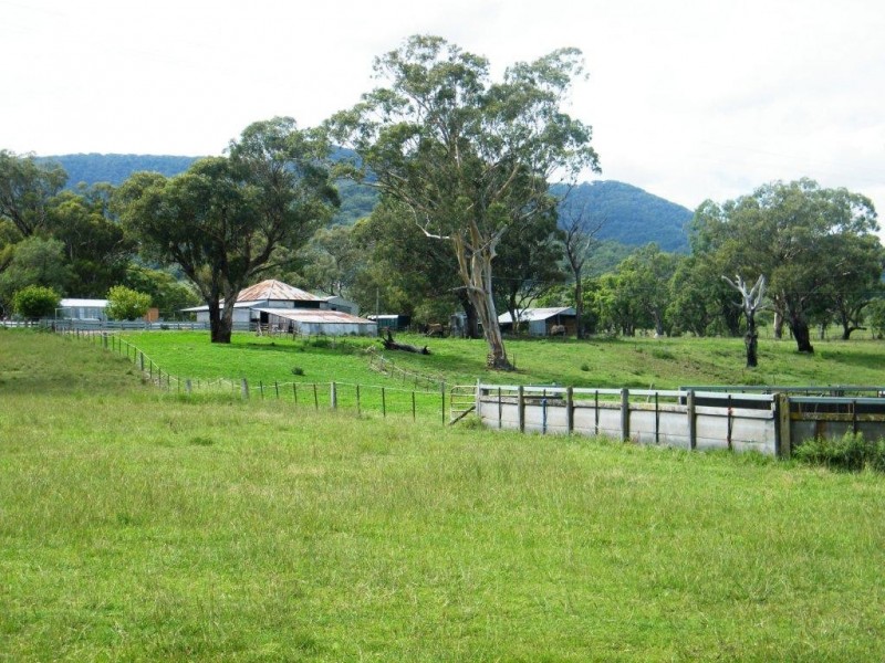 Willow Tree NSW 2339