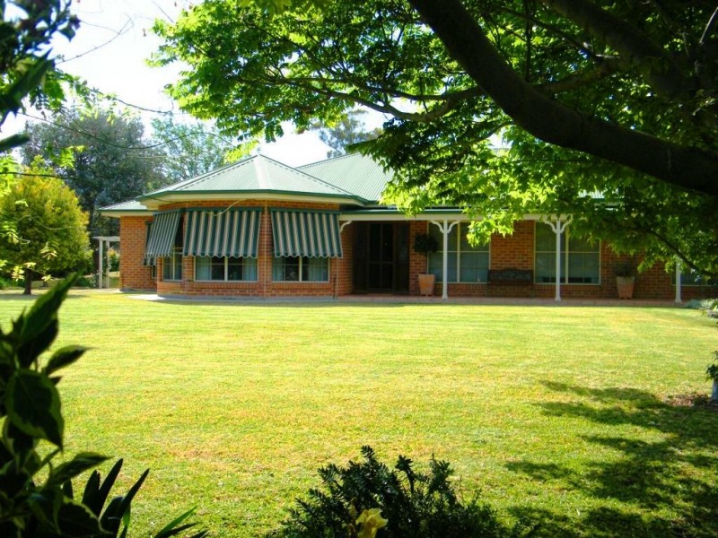 Willow Tree NSW 2339