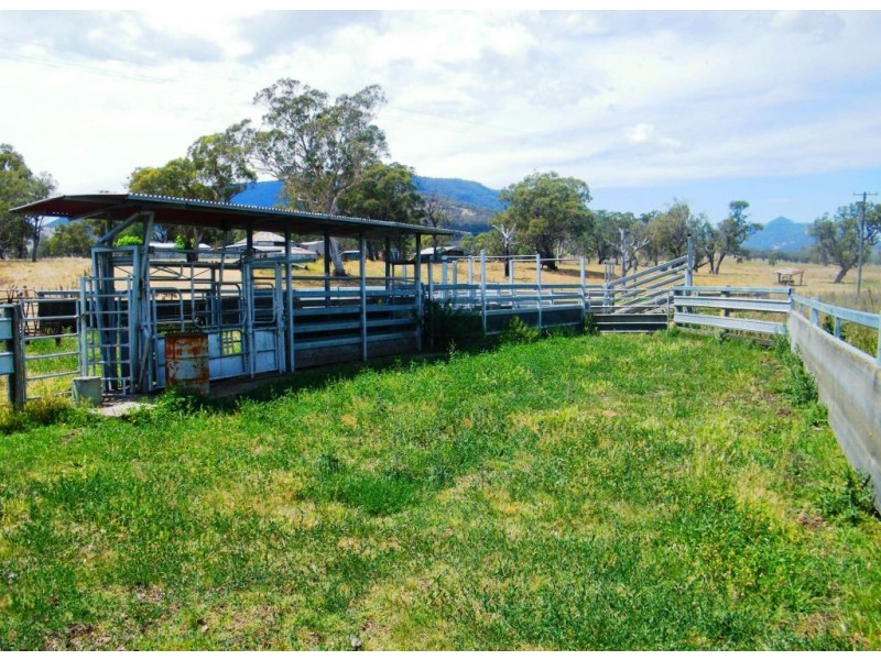 Willow Tree NSW 2339