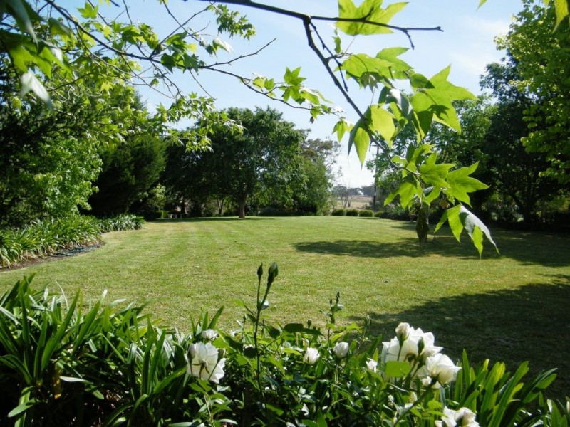 Willow Tree NSW 2339