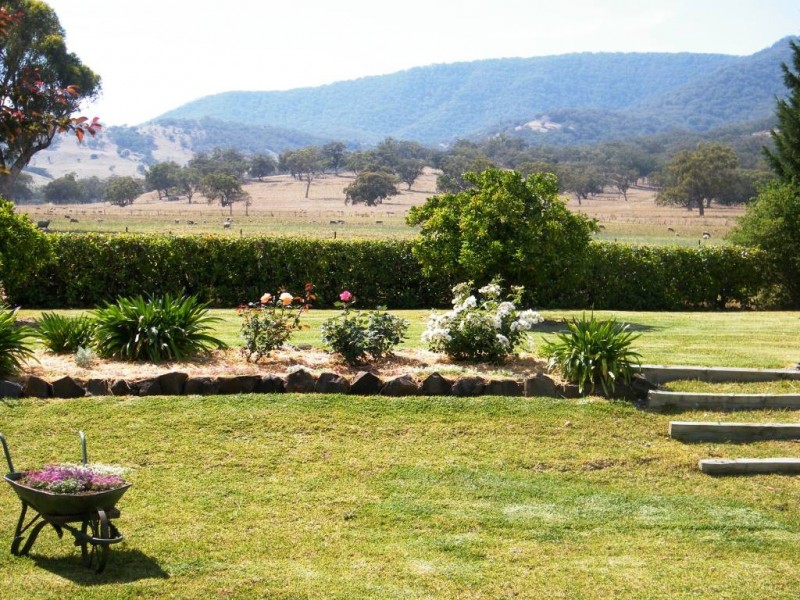 Willow Tree NSW 2339