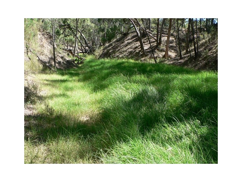 Coonabarabran NSW 2357