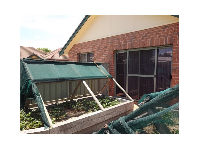 5/64 Timor St, Coonabarabran NSW 2357