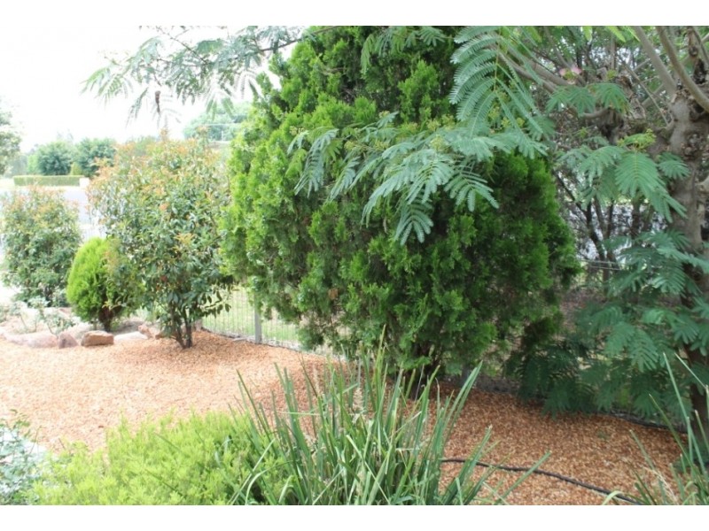 7 Cameron Street, Inverell NSW 2360