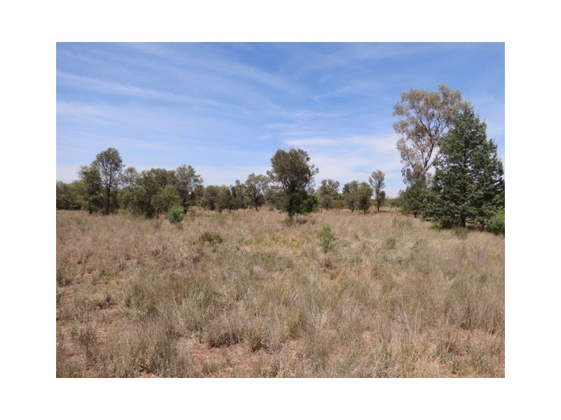 “Mulga” Larsen’s Road, Girilambone NSW 2831