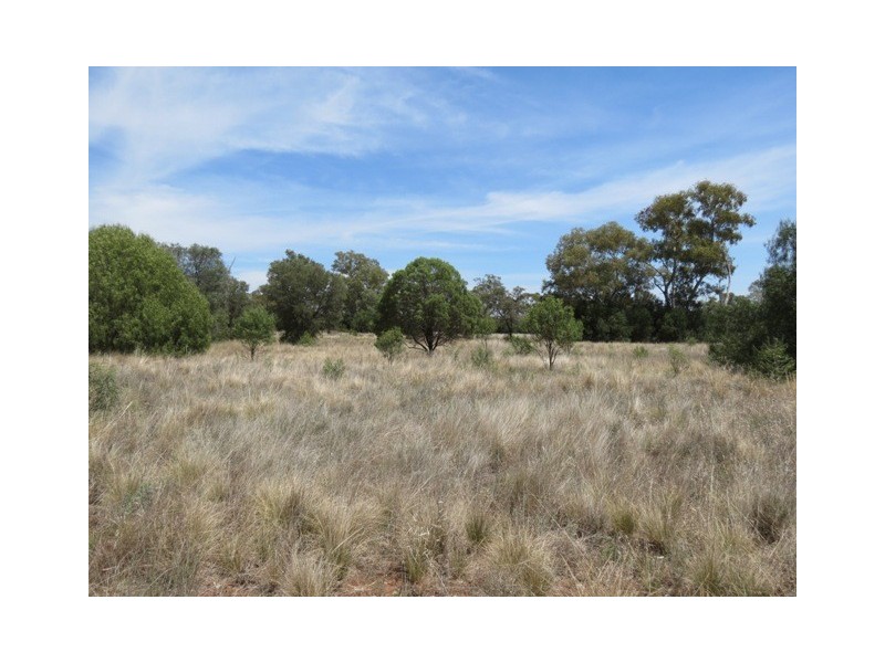 “Mulga” Larsen’s Road, Girilambone NSW 2831