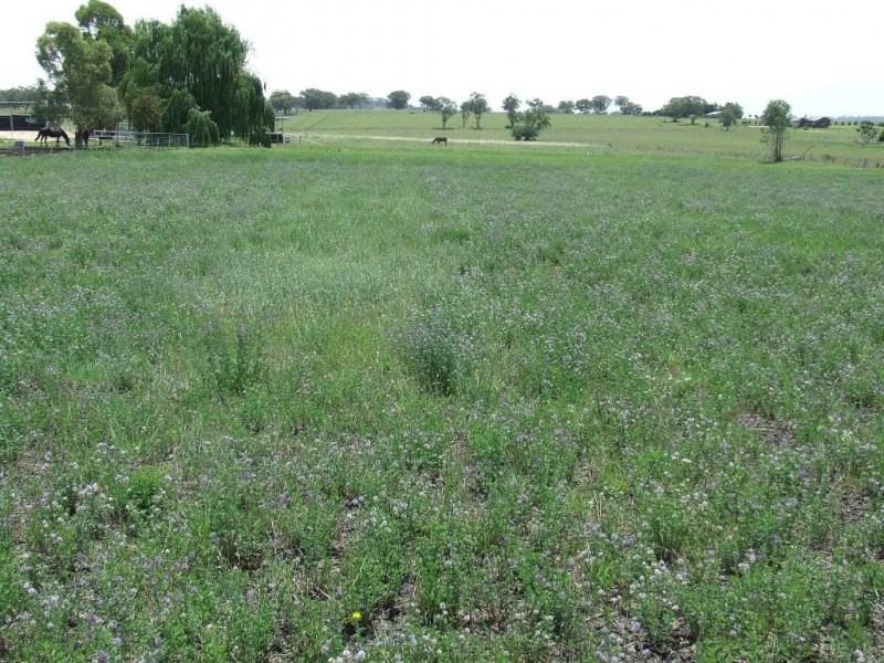 71 Brosnans Lane, Inverell NSW 2360