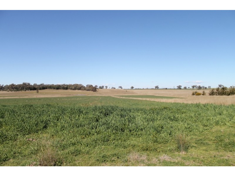 PRETORIA PARK Pretoria Park Road, Inverell NSW 2360