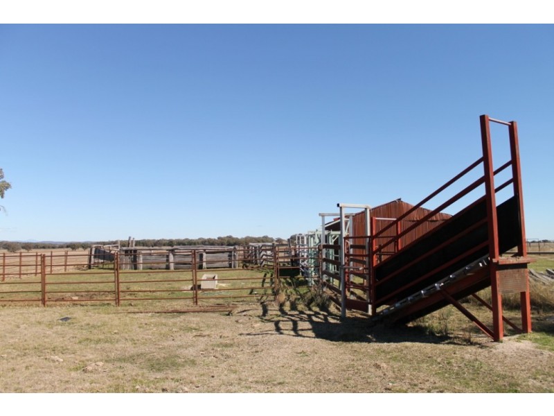 PRETORIA PARK Pretoria Park Road, Inverell NSW 2360