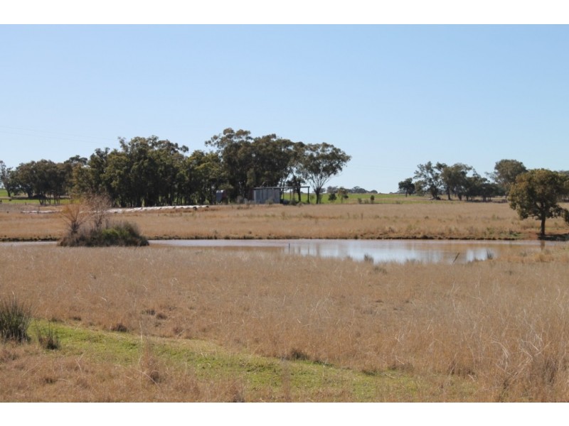 PRETORIA PARK Pretoria Park Road, Inverell NSW 2360