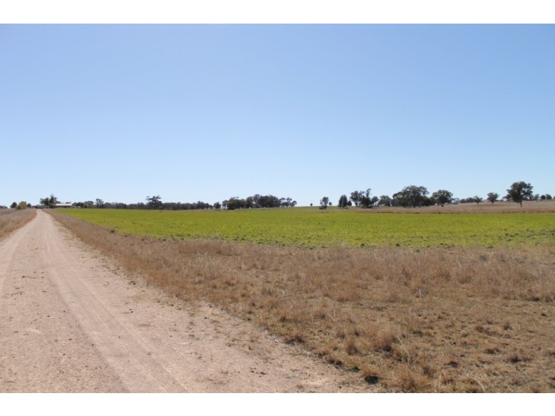 PRETORIA PARK Pretoria Park Road, Inverell NSW 2360
