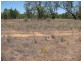 Akuaproitea Coonabarabran Road, Narrabri NSW 2390