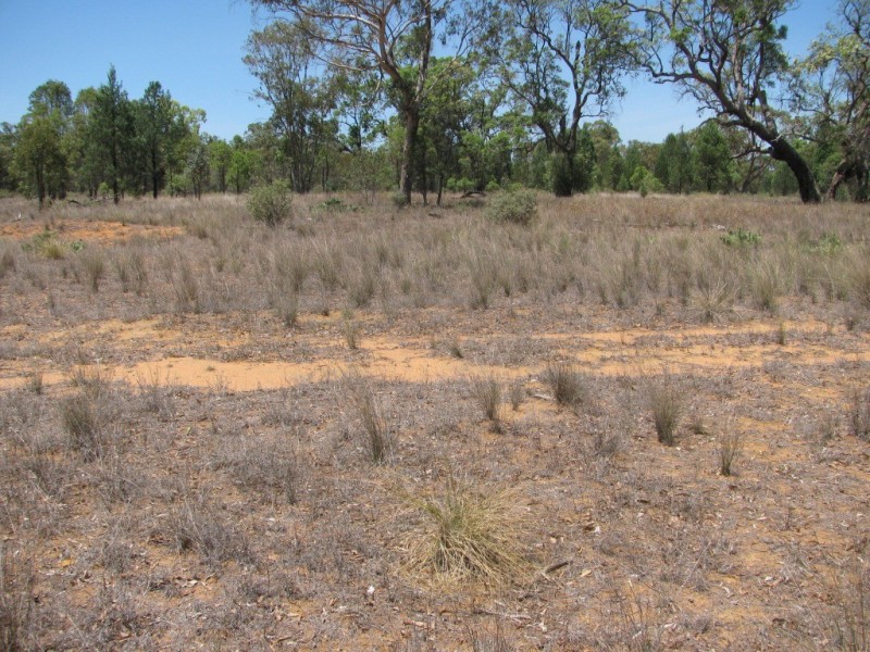 Akuaproitea Coonabarabran Road, Narrabri NSW 2390