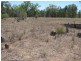 Akuaproitea Coonabarabran Road, Narrabri NSW 2390