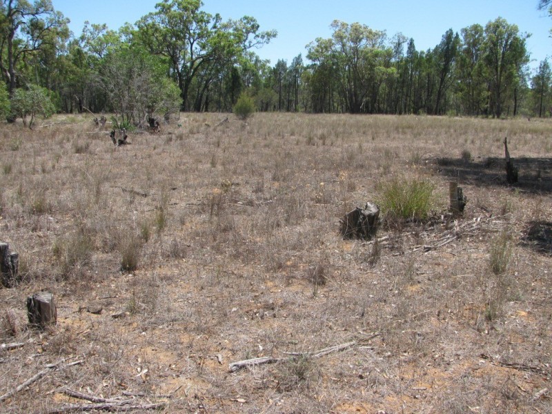 Akuaproitea Coonabarabran Road, Narrabri NSW 2390
