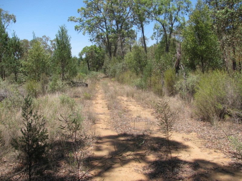 Akuaproitea Coonabarabran Road, Narrabri NSW 2390