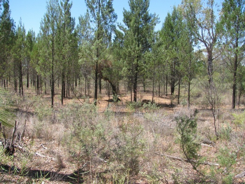 Akuaproitea Coonabarabran Road, Narrabri NSW 2390