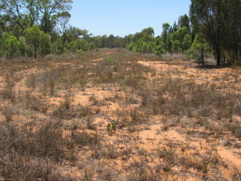 Akuaproitea Coonabarabran Road, Narrabri NSW 2390