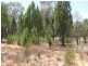 Akuaproitea Coonabarabran Road, Narrabri NSW 2390