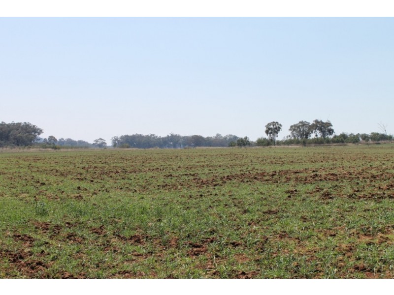 MONTANA Mount Russell Rd, Inverell NSW 2360