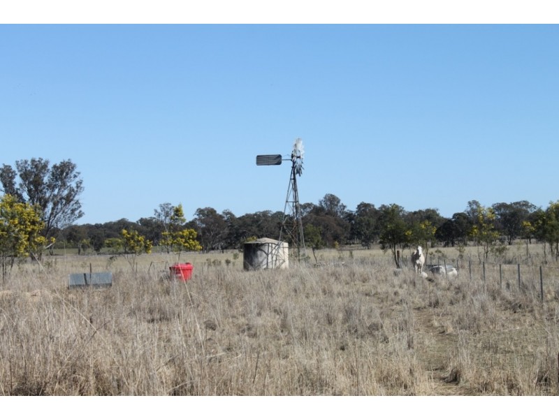 MONTANA Mount Russell Rd, Inverell NSW 2360