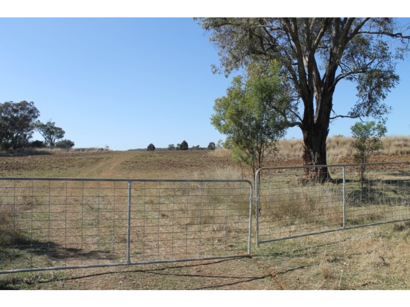 MONTANA Mount Russell Rd, Inverell NSW 2360