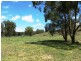 2788 New England Highway, Wallabadah NSW 2343