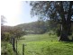 282 Beggary Creek Rd, Muswellbrook NSW 2333