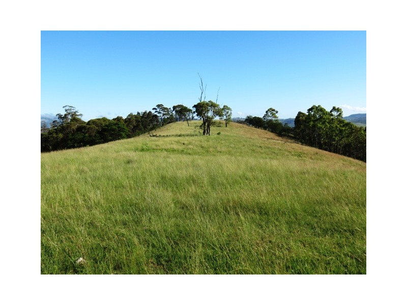 282 Beggary Creek Rd, Muswellbrook NSW 2333