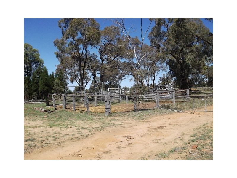 Coonabarabran NSW 2357