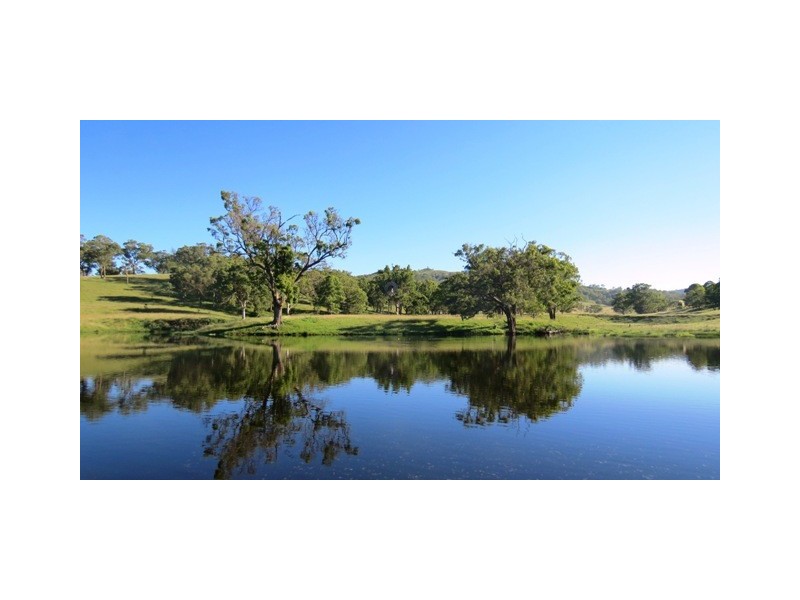 Bundanoon Scotts Creek Rd, Blandford NSW 2338