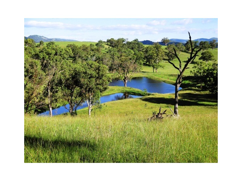 Bundanoon Scotts Creek Rd, Blandford NSW 2338