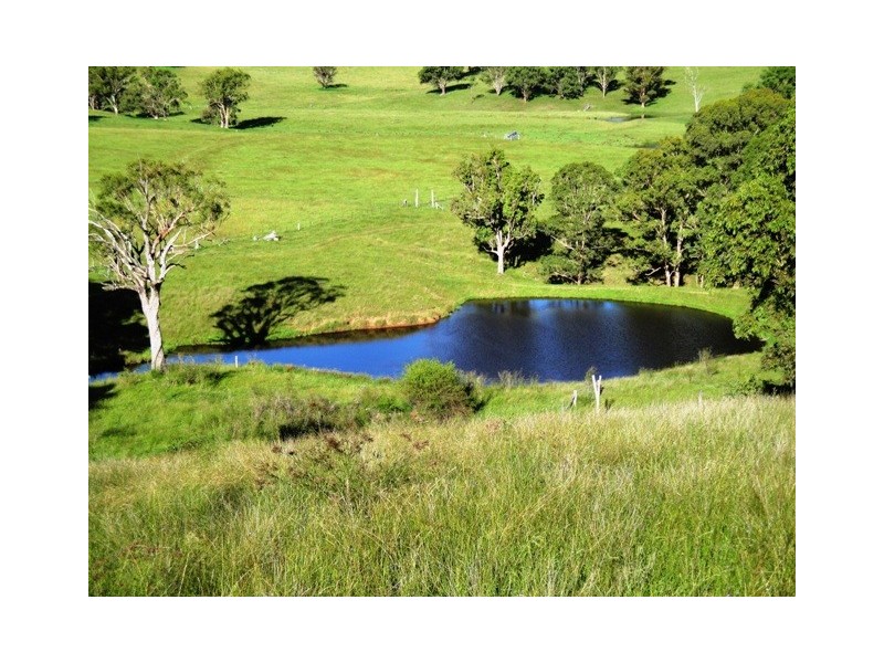 Bundanoon Scotts Creek Rd, Blandford NSW 2338