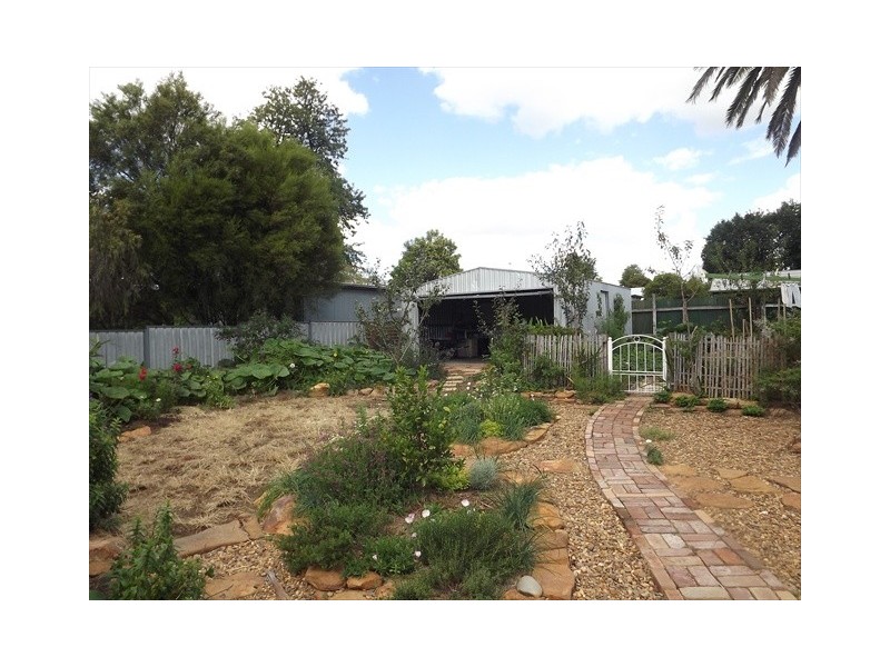 112 Dalgarno St, Coonabarabran NSW 2357