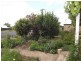 112 Dalgarno St, Coonabarabran NSW 2357