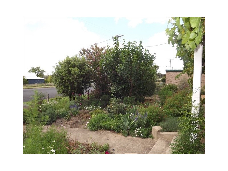 112 Dalgarno St, Coonabarabran NSW 2357