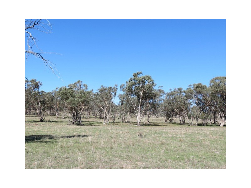 Woodsville 4706 Obley Road, Dubbo NSW 2830