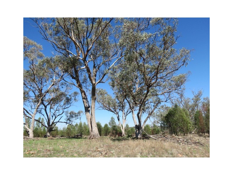Woodsville 4706 Obley Road, Dubbo NSW 2830