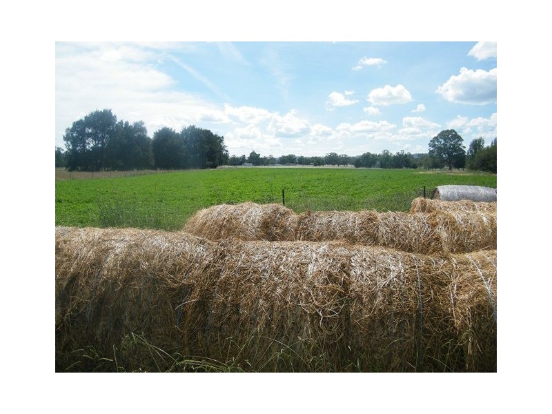 MOUNT BLAKE WARRAH CREEK RD, Willow Tree NSW 2339