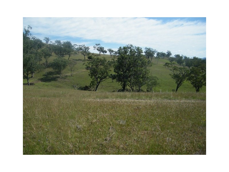 MOUNT BLAKE WARRAH CREEK RD, Willow Tree NSW 2339