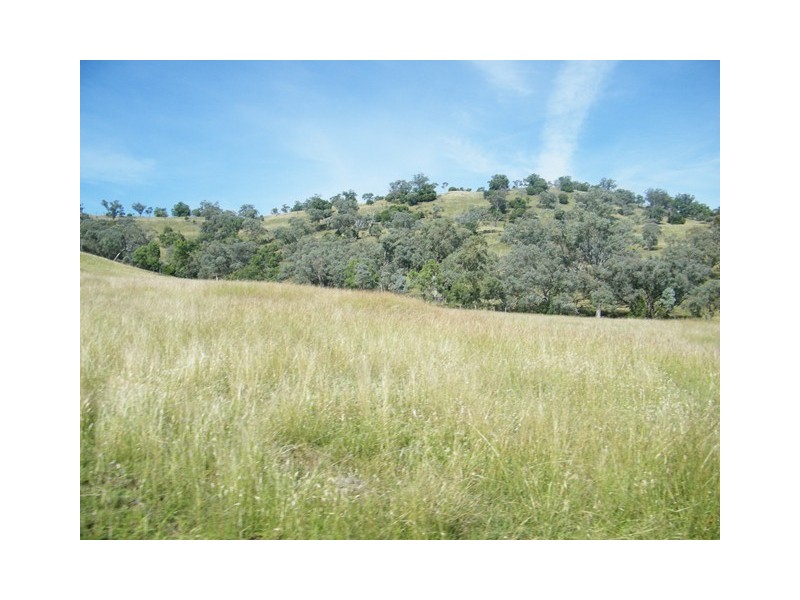 MOUNT BLAKE WARRAH CREEK RD, Willow Tree NSW 2339