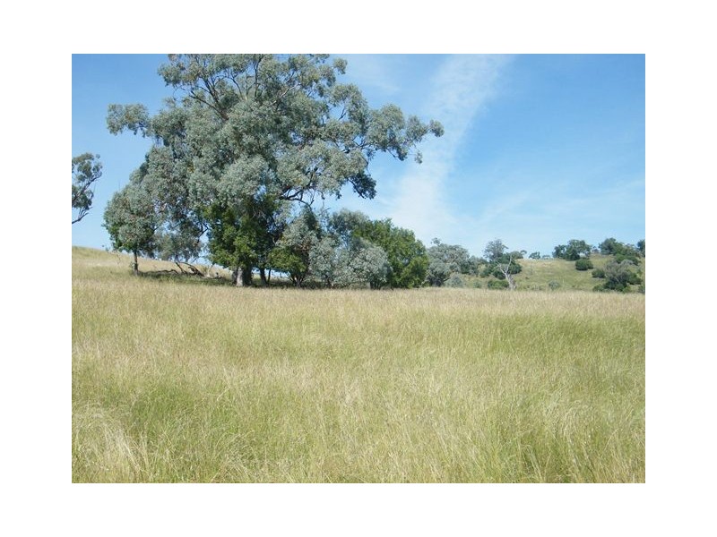 MOUNT BLAKE WARRAH CREEK RD, Willow Tree NSW 2339