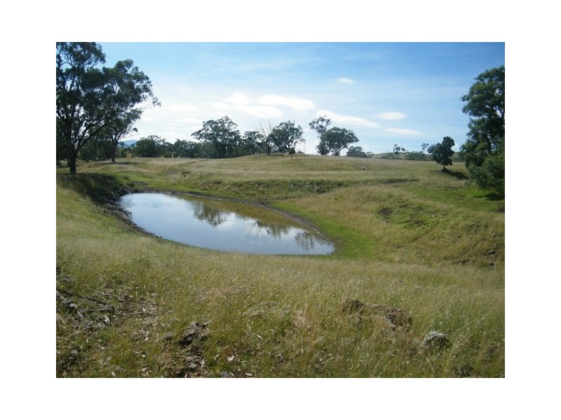 MOUNT BLAKE WARRAH CREEK RD, Willow Tree NSW 2339