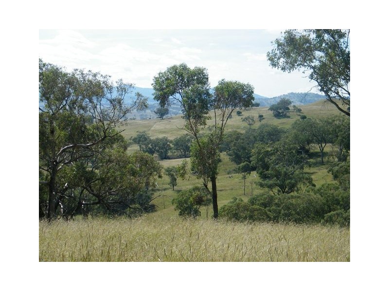 MOUNT BLAKE WARRAH CREEK RD, Willow Tree NSW 2339