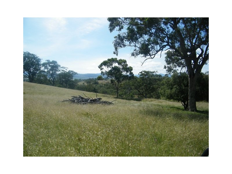 MOUNT BLAKE WARRAH CREEK RD, Willow Tree NSW 2339