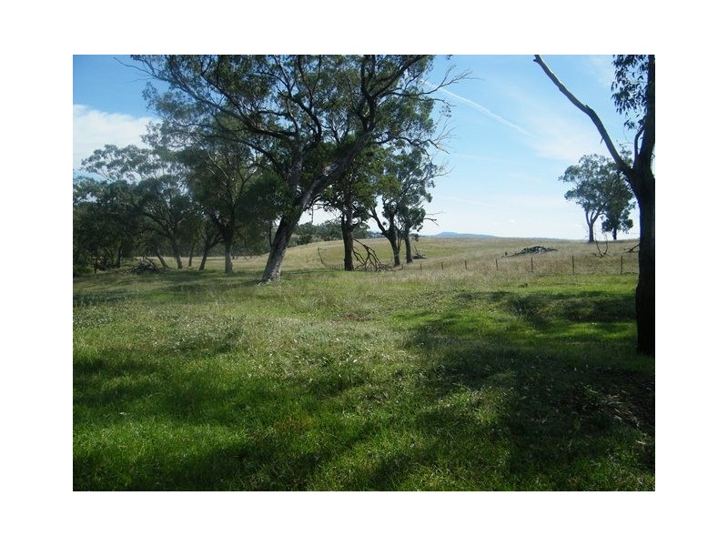 MOUNT BLAKE WARRAH CREEK RD, Willow Tree NSW 2339