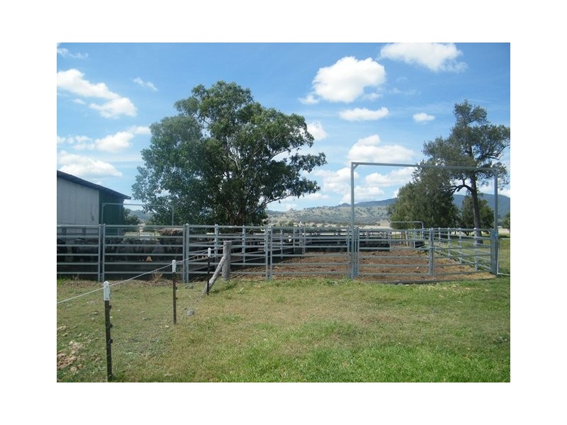 MOUNT BLAKE WARRAH CREEK RD, Willow Tree NSW 2339