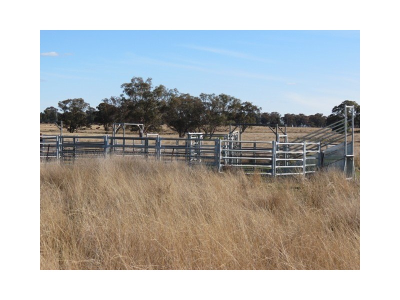 Glen Garry Mitchell Highway, Narromine NSW 2821