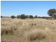 Glen Garry Mitchell Highway, Narromine NSW 2821
