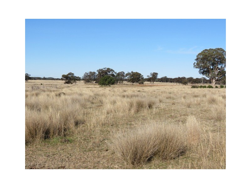 Glen Garry Mitchell Highway, Narromine NSW 2821